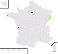 Ranunculus alsaticus W.Koch - carte de répartition