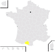 Ranunculus ×aurigeranus H.Marcailhou & Marcailhou - carte de répartition