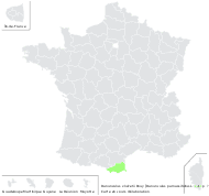 Ranunculus ×luizetii Rouy - carte de répartition