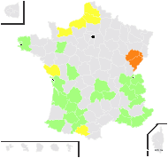 Rapistrum scabrum Host - carte de répartition