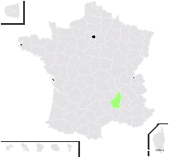 Reseda gracilis Ten. - carte de répartition