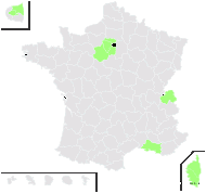 Reseda undulata Gaterau - carte de répartition