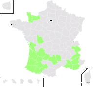 Rhamnus alaternus L. subsp. alaternus - carte de répartition