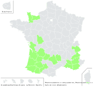 Rhamnus alaternus L. subsp. alaternus - carte de répartition