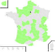 Echium lacaitae Sennen - carte de répartition