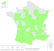 Rhus typhina L. - carte de répartition