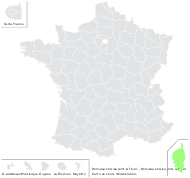 Romulea linaresii var. corsica (Jord. & Fourr.) P.Fourn. - carte de répartition