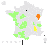 Rorippa pyrenaica sensu auct. plur. - carte de répartition