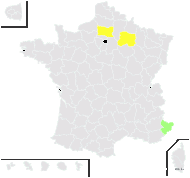 Heliotropium arborescens L. - carte de répartition