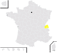 Rosa ×alpestris Rapin - carte de répartition