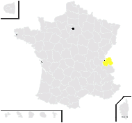 Rosa ×areniensis Rouy - carte de répartition