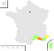 Heliotropium supinum L. - carte de répartition