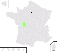 Rosa ×bishopii Wolley-Dod - carte de répartition