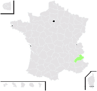 Rosa ×brueggeri Killias - carte de répartition