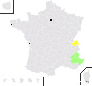 Rosa chavinii Rapin ex Reut. - carte de répartition