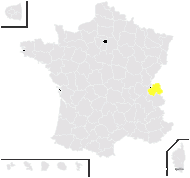 Rosa ×hyana Préaub. & Bouvet - carte de répartition