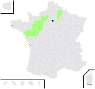 Rubus andegavensis Bouvet - carte de répartition