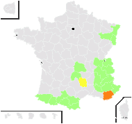 Myosotis alpina Lapeyr. - carte de répartition