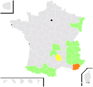 Myosotis rupicola Sm. - carte de répartition