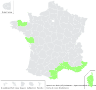 Aptenia cordifolia (L.f.) Schwantes - carte de répartition