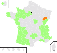 Lapathum bononiense Friche-Joset & Montandon - carte de répartition