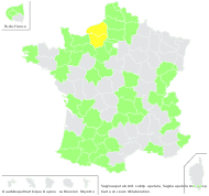 Sagina apetala Ard. subsp. apetala - carte de répartition
