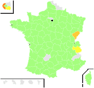 Myosotis discolor Pers. - carte de répartition