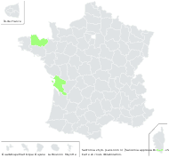 Salicornia ×hyb. (sans nom 1)  - carte de répartition