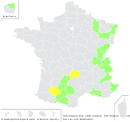Salix eleagnos Scop. subsp. eleagnos - carte de répartition