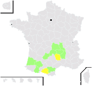 Myosotis nohetii Sennen - carte de répartition