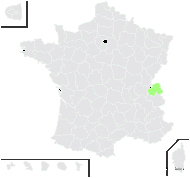 Salix ×intermedia Host - carte de répartition