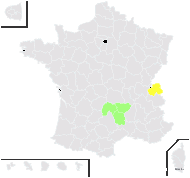 Salix ×kochiana Hartig - carte de répartition