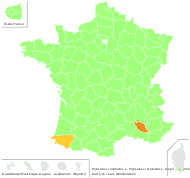 Myosotis scorpioides L. - carte de répartition