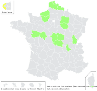 Salix ×mollissima Ehrh. ex Elwert - carte de répartition