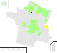 Salix ×multinervis Döll - carte de répartition