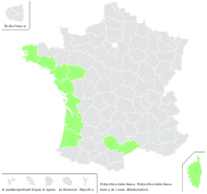 Myosotis sicula subsp. virgata (Bég.) R.Schust. - carte de répartition