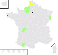 Salix ×sepulcralis Simonk. - carte de répartition