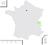 Salix ×rhaetica Rouy - carte de répartition