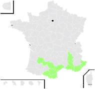 Salvia officinalis subsp. lavandulifolia (Vahl) Gams - carte de répartition