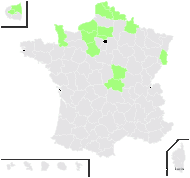 Sambucus laciniata Mill. - carte de répartition