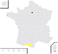 Saxifraga ×martyi Luizet & Soulié - carte de répartition