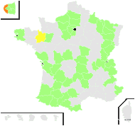 Scabiosa dubia Moench - carte de répartition