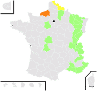 Scrophularia umbrosa Dumort. subsp. umbrosa - carte de répartition