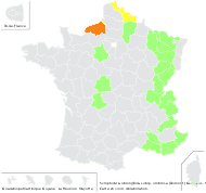 Scrophularia robusta Pennell - carte de répartition