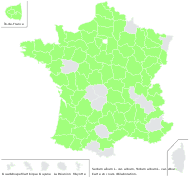 Sedum album L. var. album - carte de répartition