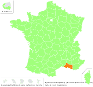 Sedum bohuslavii Rupr. - carte de répartition