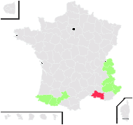 Sempervivum subalpinum Rouy - carte de répartition