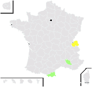 Sempervivum ×barbulatum Schott - carte de répartition