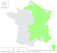Senecio ovatus (G.Gaertn., B.Mey. & Scherb.) Willd. - carte de répartition
