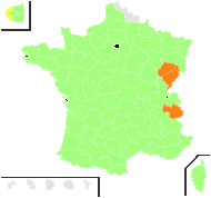 Cicuta major Lam. - carte de répartition